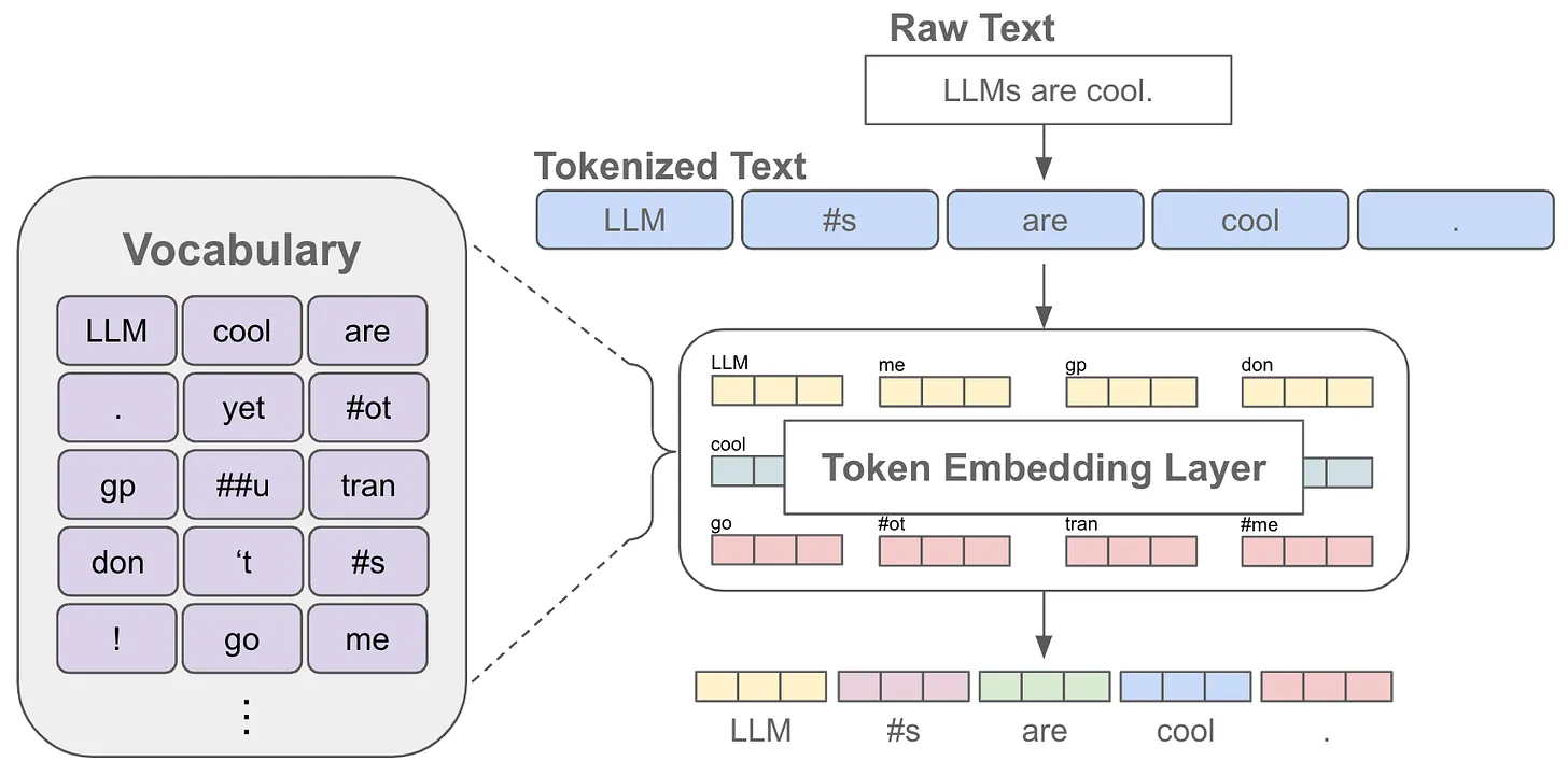 从原始文本生成 token 嵌入
