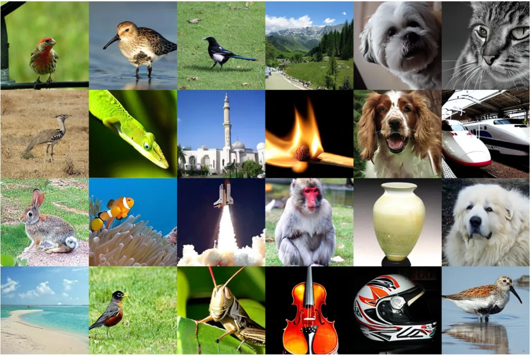 DiC 生成效果出众，输出图像十分逼真