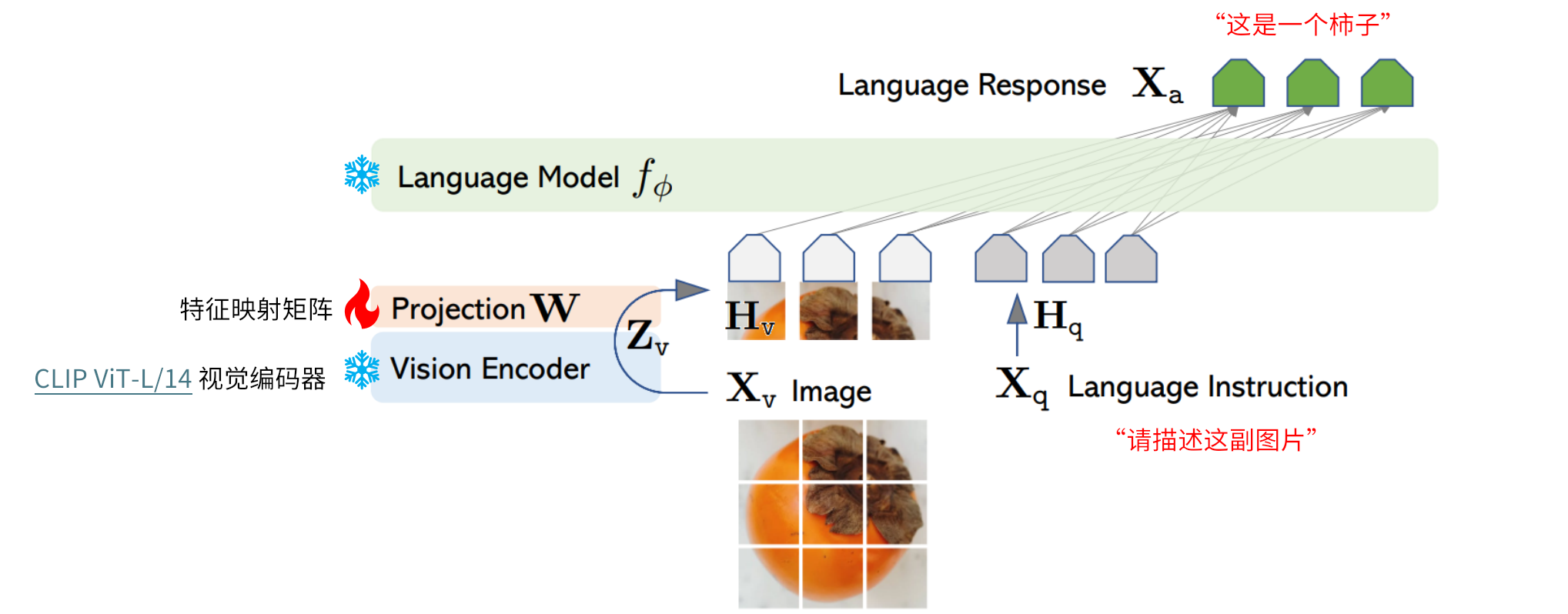 特征对齐的预训练。只更新特征映射矩阵
