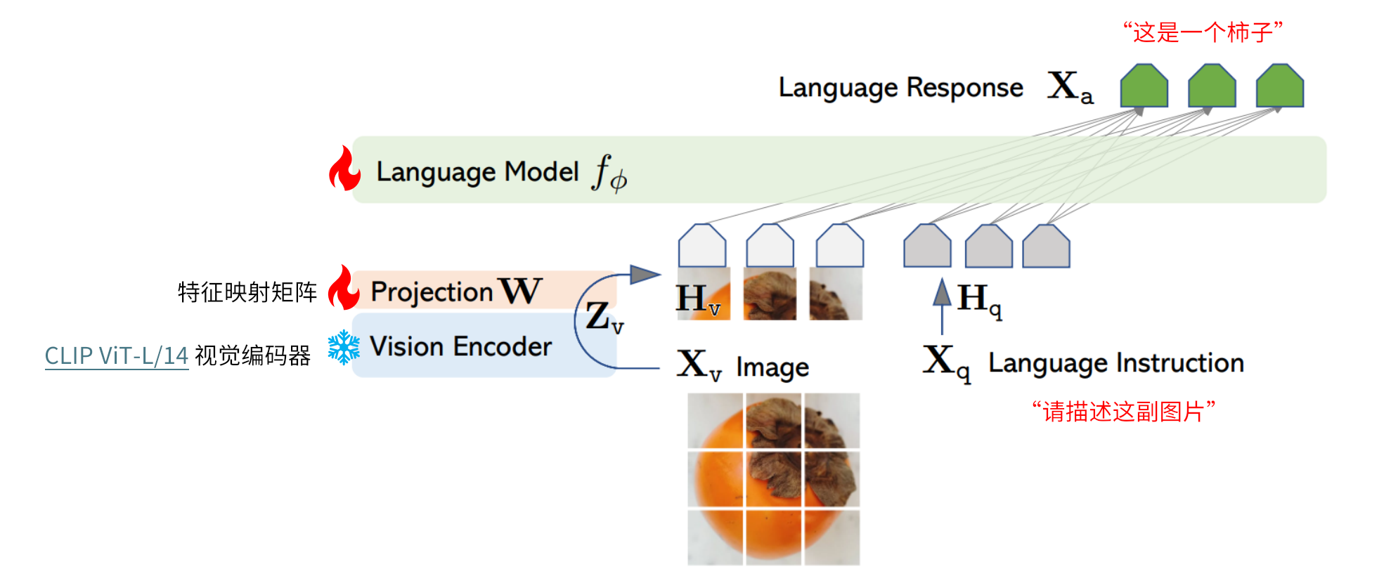 端到端微调。特征投影矩阵和LLM都进行更新
