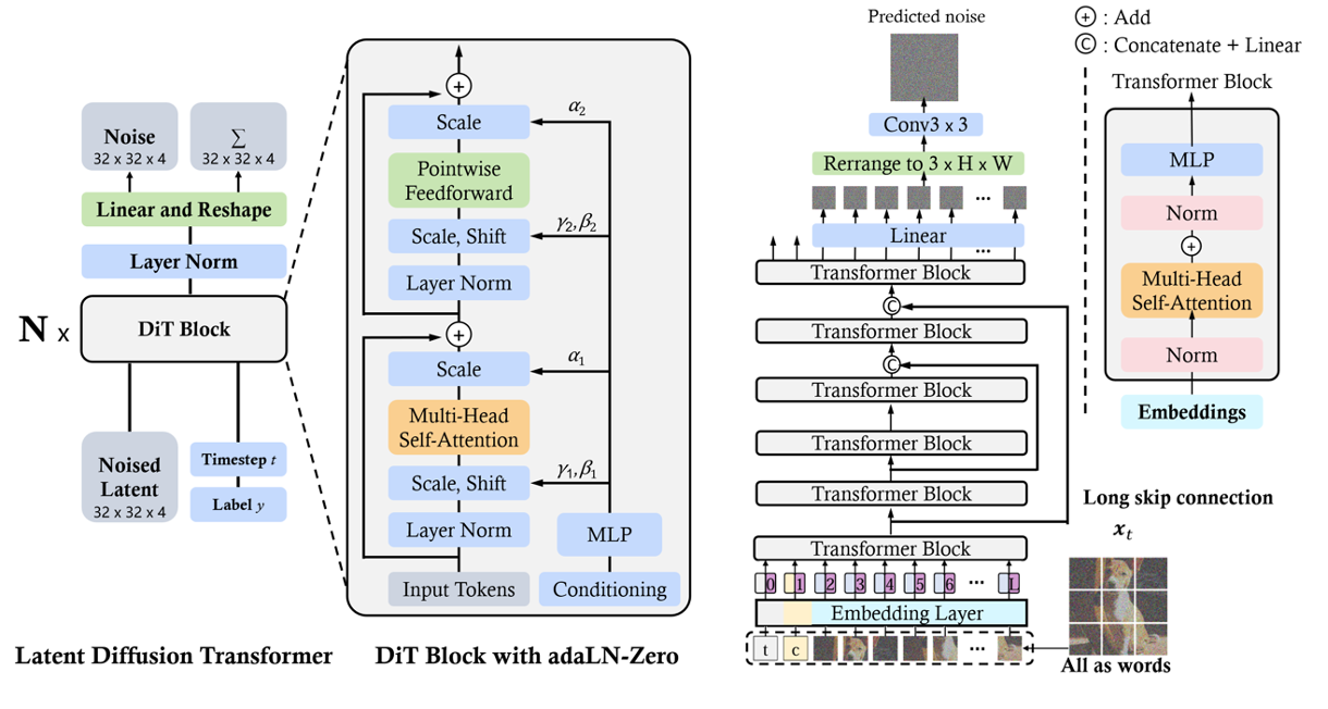 DiT (left) and U-ViT (right)