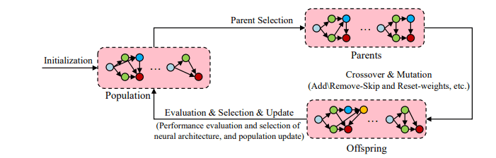 NAS with evolutionary algorithms